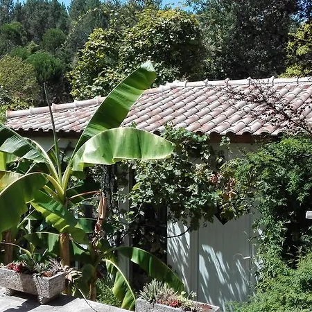 Ferienwohnung Am Lago Verde * Pedrogao Grande